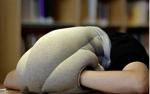 nap travel pillow 2